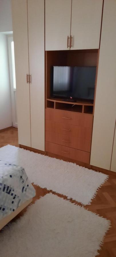 Stan Na Dan Dunja 1 Apartamento Vrsac Exterior foto