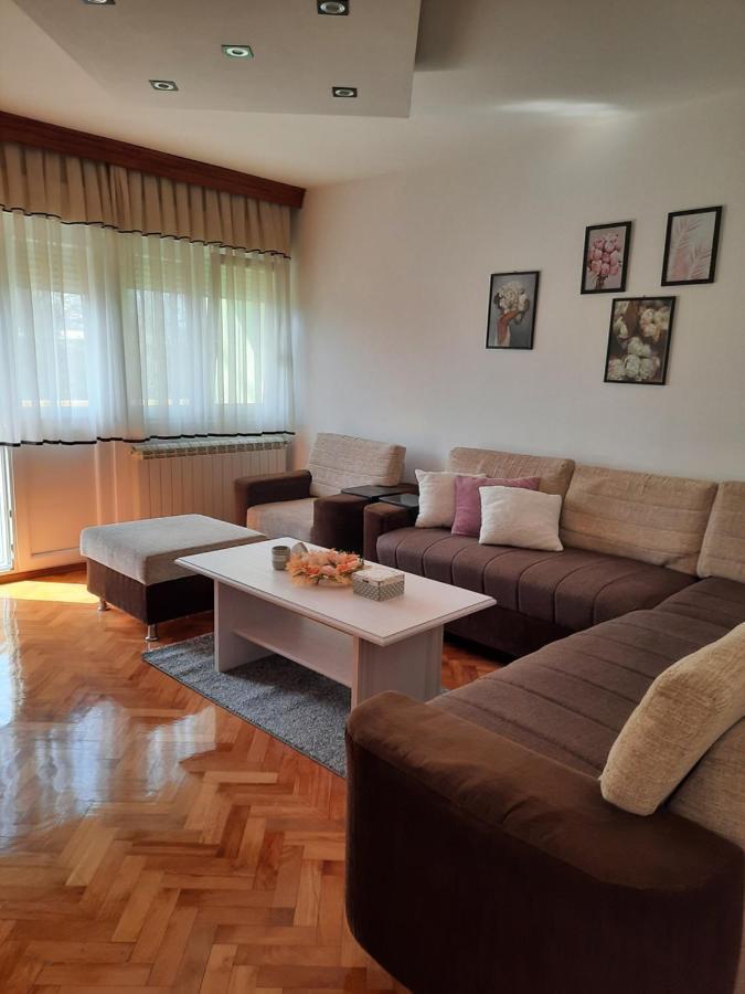 Stan Na Dan Dunja 1 Apartamento Vrsac Exterior foto